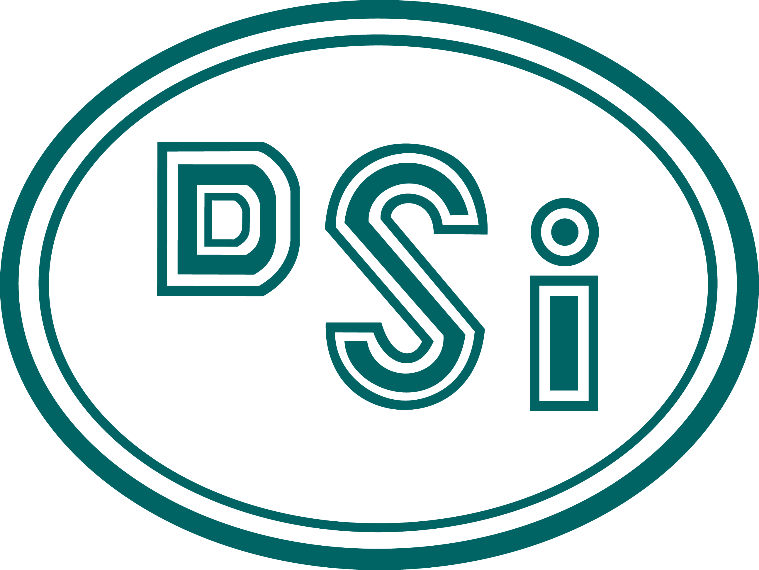 dsi logo